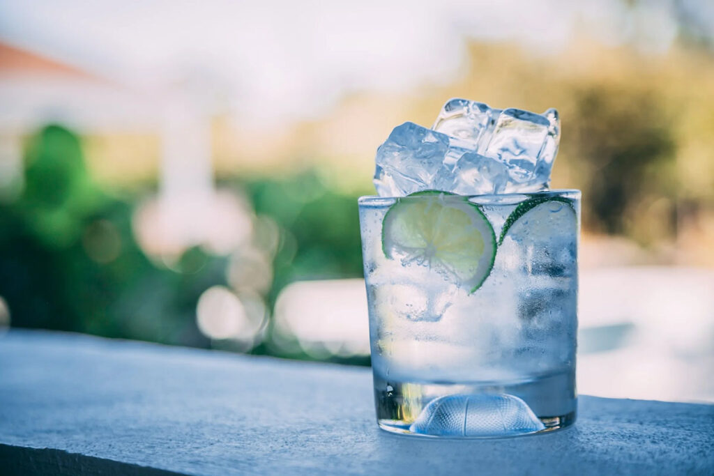gin tonic
