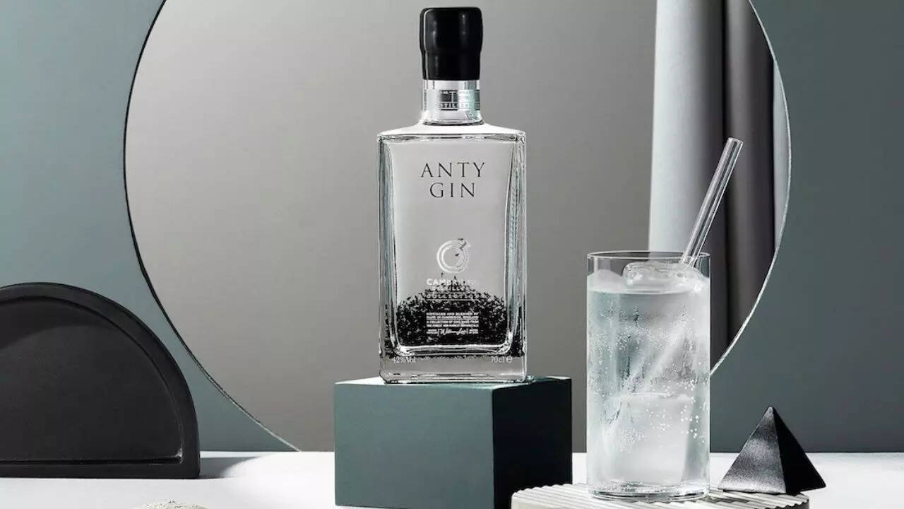 anty gin